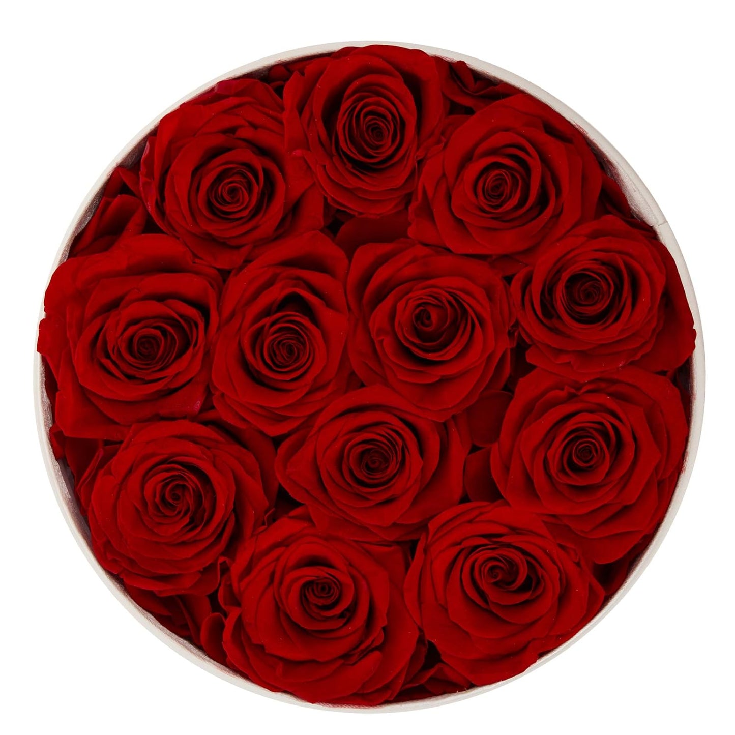 12 Preserved Rose in a Box Real Roses That Last a Year elegantly Preserved Flowers