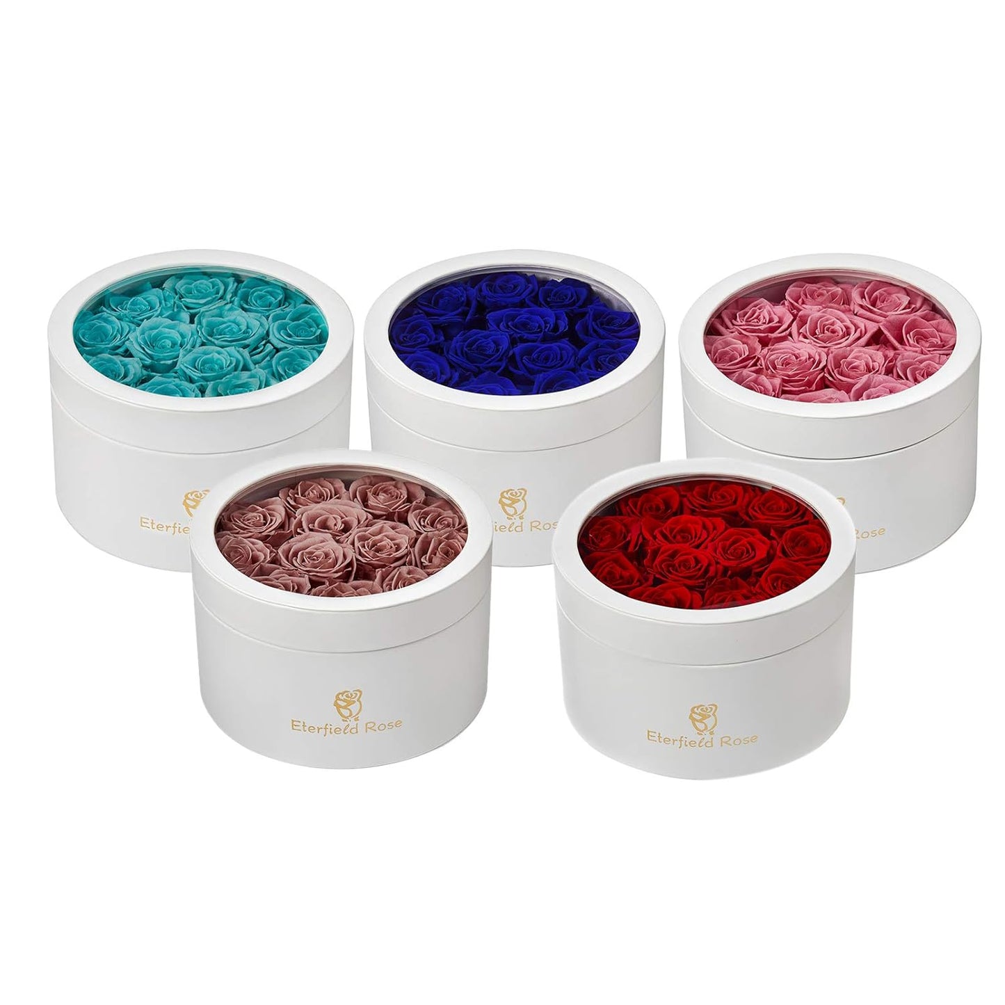 12 Preserved Rose in a Box Real Roses That Last a Year elegantly Preserved Flowers