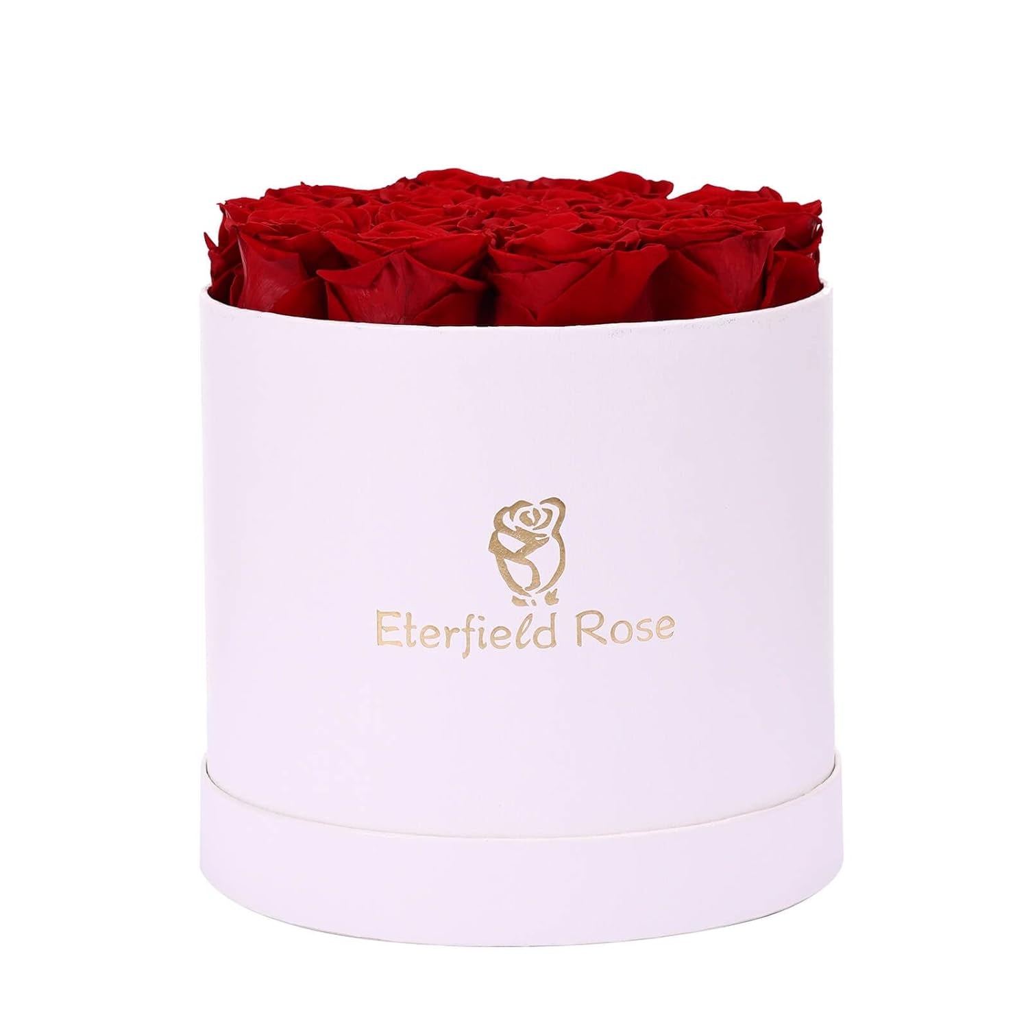 16-Piece Forever Flowers Preserved Rose in a Box Real Roses That Last a Year Preserved Flowers for Delivery Prime Mothers Day Valentines Day Christmas Day (Red Roses, round White Box)